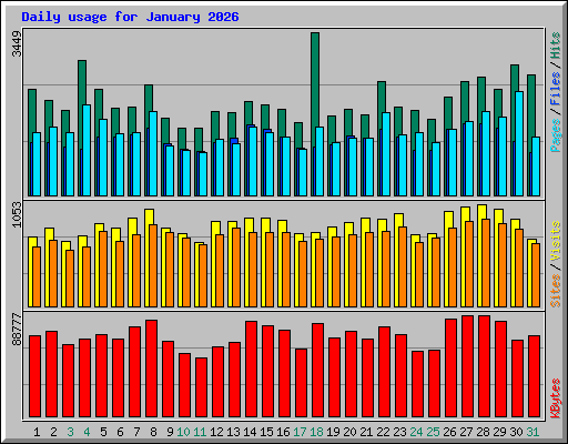Daily usage for January 2026