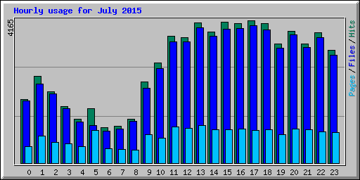 Hourly usage for July 2015
