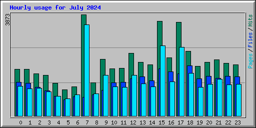 Hourly usage for July 2024