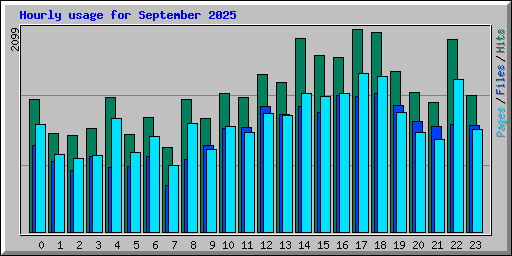 Hourly usage for September 2025