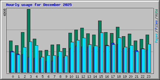 Hourly usage for December 2025