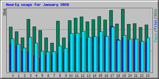 Hourly usage for January 2026