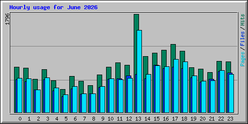 Hourly usage for June 2026